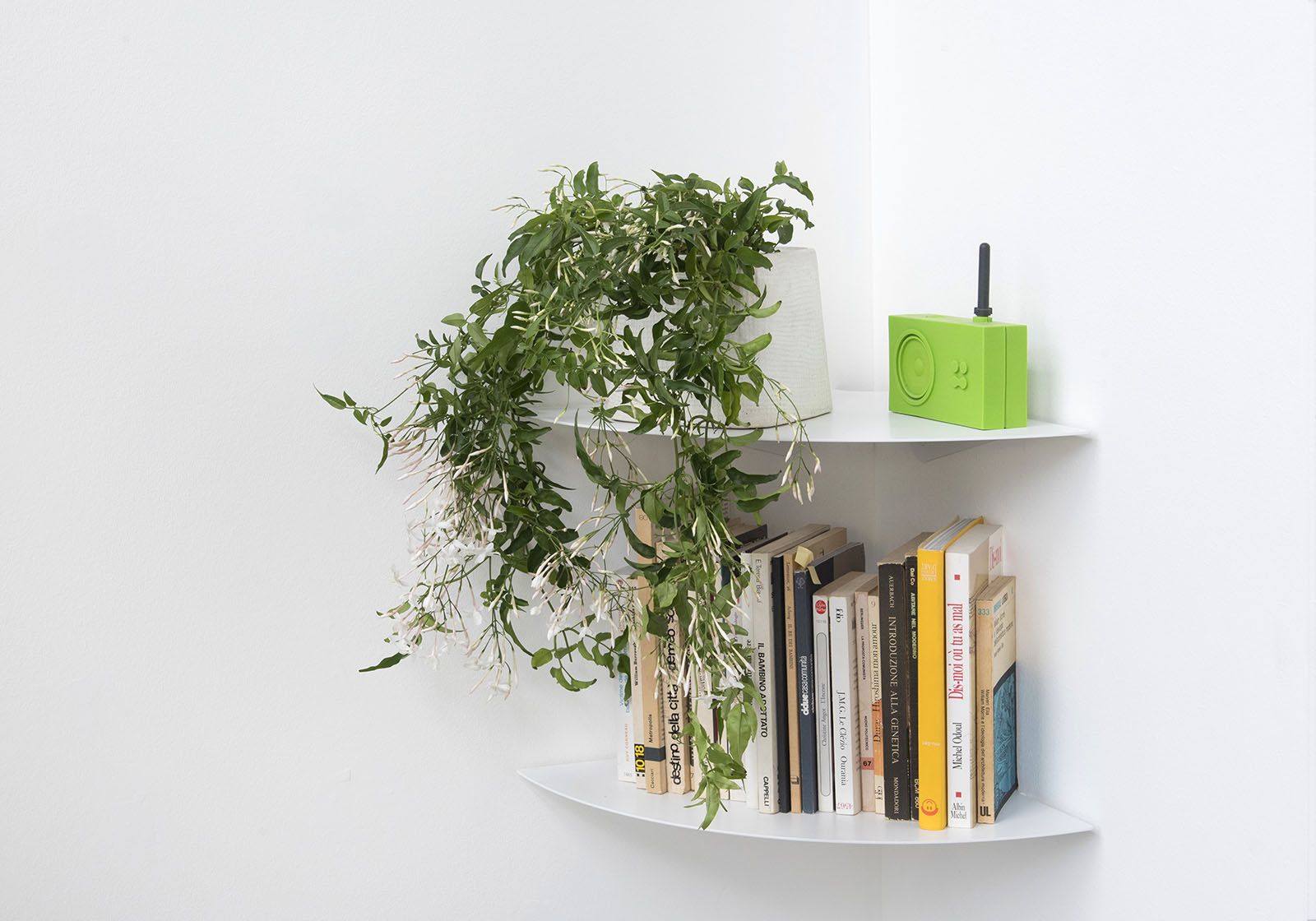 Corner Shelf 36 cm - Set of 2 Shelves Corner shelf - 3