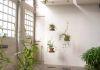 Plant pot stand Plant shelf - 3