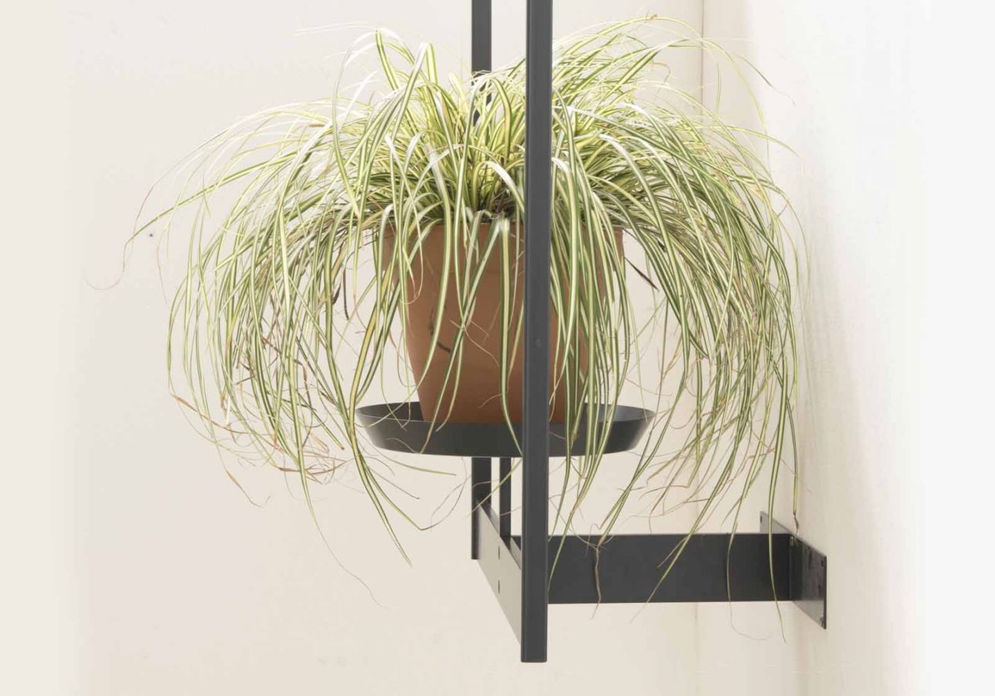 Vente étagère murale plantes L55 cm