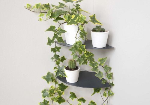Etagère angle en alu 24 cm - Lot de 2