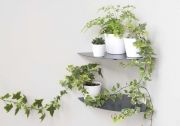 Floating plant shelf L36 cm - Alu - Set of 2