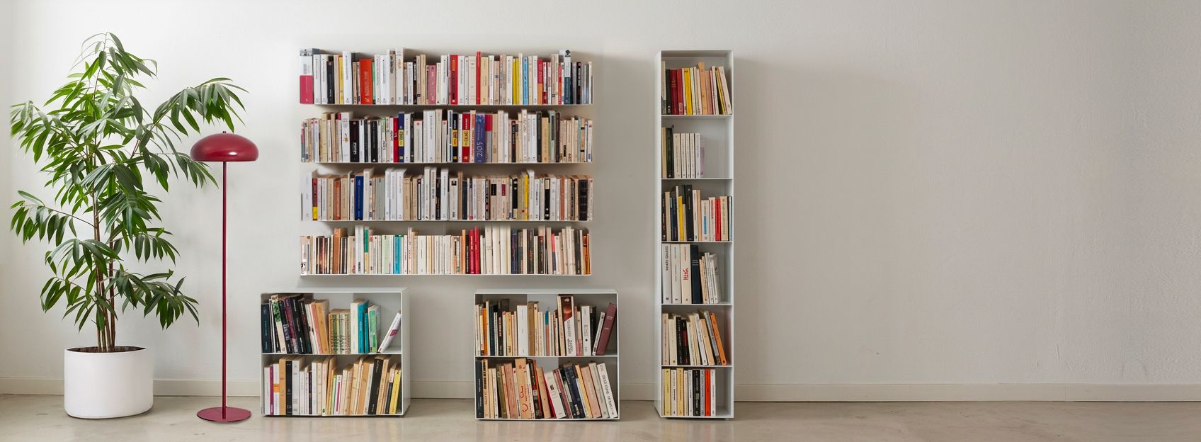 Collection